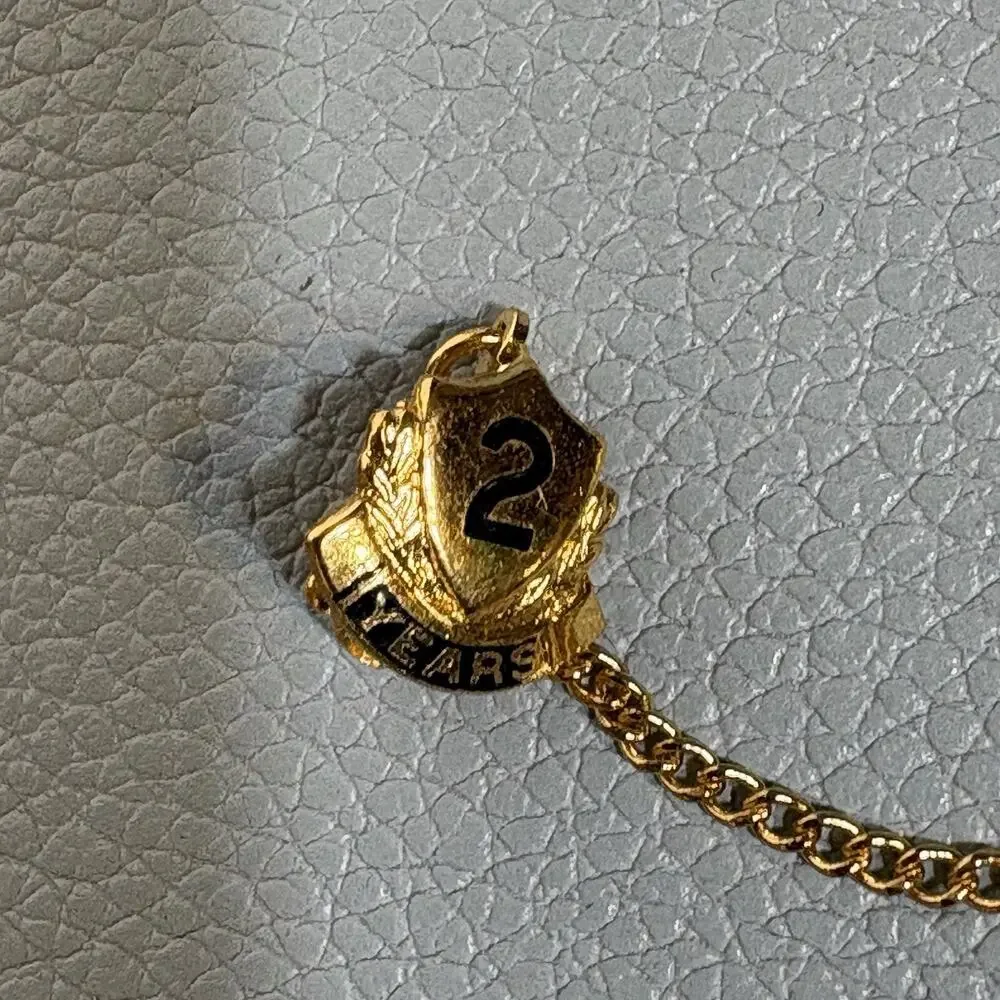 Vintage School Pins, Choir, 2 Year Gold Tone with Black Enamel Scatter Pin Chain